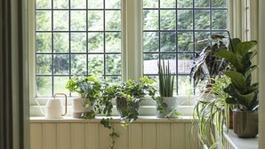 Una habitación con ventanal que da a un jardín, con diversas macetas y un radiador blanco.
