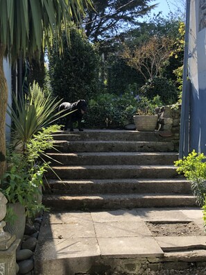 Property grounds - Rose Cottage, dog friendly, Appledore  (Appledore)