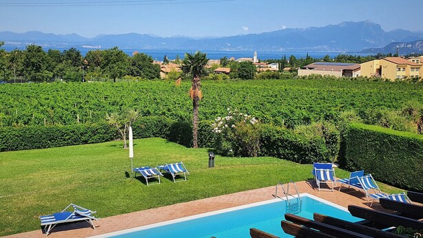 Un espace piscine avec des chaises longues, une vue dégagée sur un vignoble et des montagnes à l’horizon.