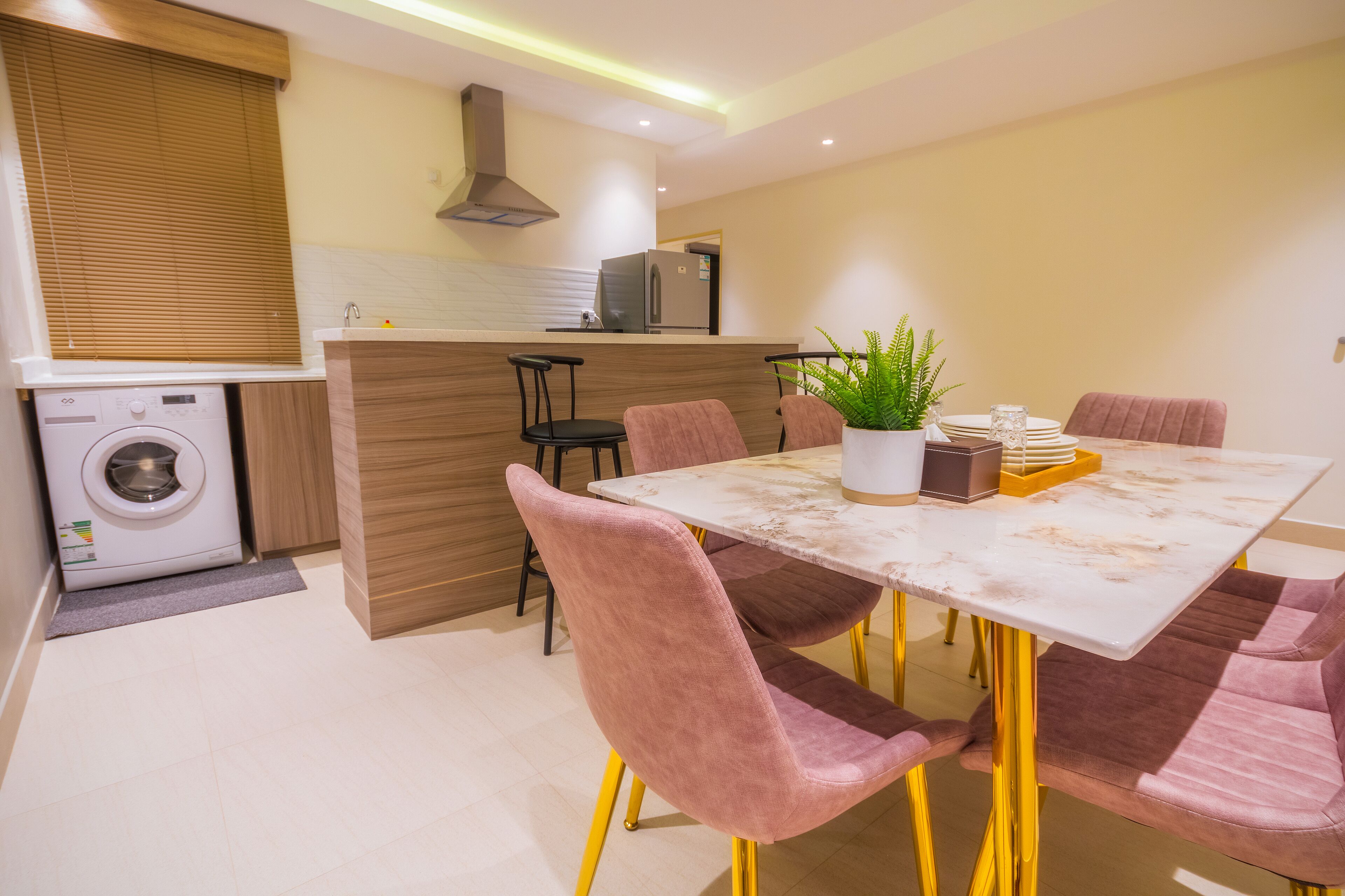 Une cuisine moderne équipée d’un lave-linge intégré, un coin repas avec une table en marbre et des chaises roses, et une plante en pot posée sur la table.