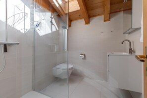 A modern bathroom with a glass shower enclosure, a toilet, and a sink with a mirror.