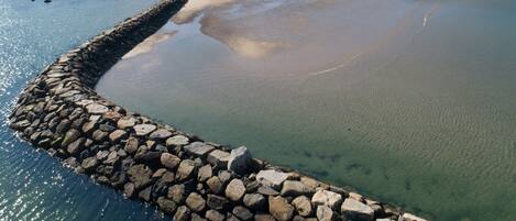 A coastal area with a rocky breakwater, calm water, and a row of houses in the background.
