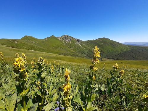 Apartment 6 people station Chastreix Sancy alt 1385m