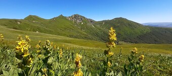 Apartment 6 people station Chastreix Sancy alt 1385m