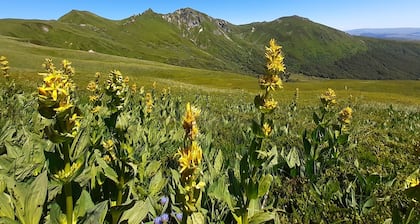 Apartment 6 people station Chastreix Sancy alt 1385m