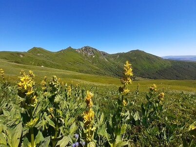 Apartment 6 people station Chastreix Sancy alt 1385m