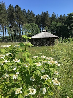 Garden - Hollicarrs - Bumblebee Lodge (York)