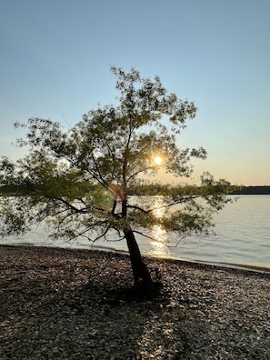 Enjoy serene lakeside views from beneath a majestic tree's canopy.