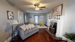 TV connectée, cheminée, lecteur de DVD, livres