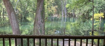 ICHETUCKNEE RIVER - Riverfront on the Crystal Clear Ichetucknee River
