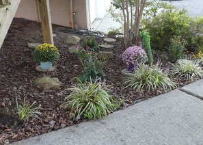 Stroll through a serene garden area surrounded by a variety of plants and flowers.