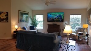 Smart TV, DVD player, video library