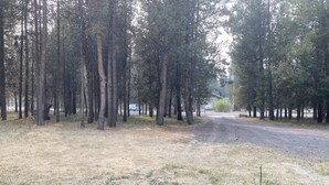 A forested area with a gravel path leading to a road. - Wooded river retreat near Mt. Bachelor and Bend (Bend)