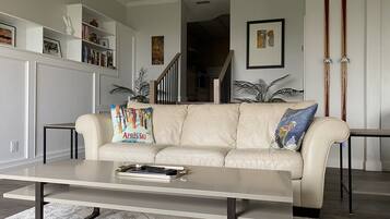 Televisor intel·ligent, llar de foc, Netflix i llibres