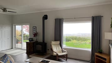 Una Smart TV, una chimenea, Netflix, libros