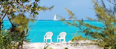 在海滩