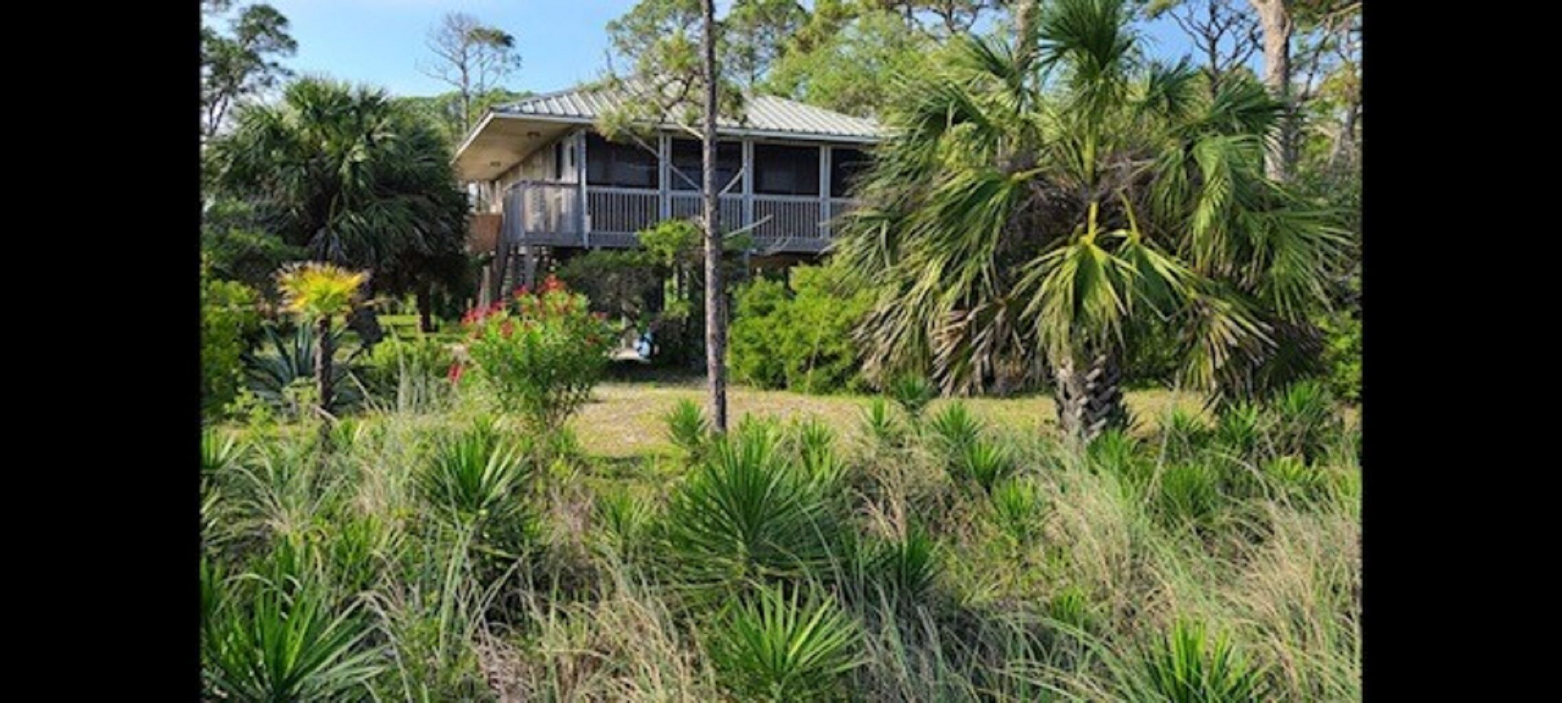 Summa time is beach time!  Alligator Point on the Forgotten Coast.