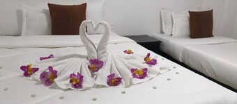 Casa Turística Feria Nova