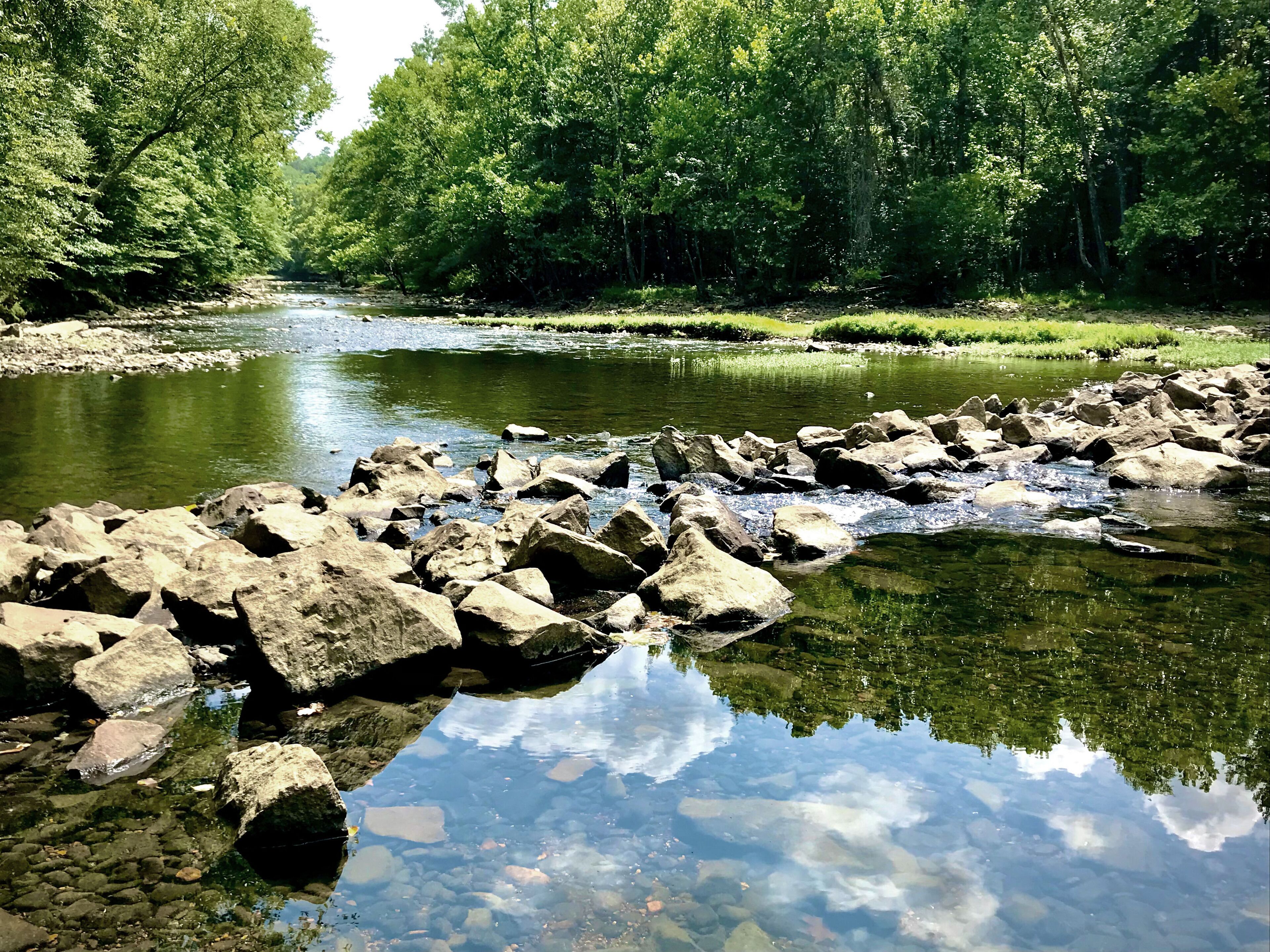 A river with clear water reflecting trees and rocks.