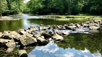 A river with clear water reflecting trees and rocks.