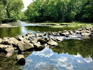A river with clear water reflecting trees and rocks. - The Lazy Trout. Livin Lazy at the Little Missouri River (Murfreesboro)