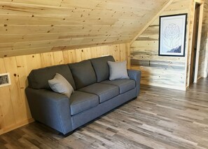 Smart TV, DVD player, books, video library