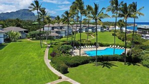A resort with a swimming pool, palm trees, and a view of the ocean.