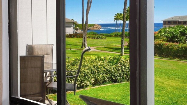 A view from a window overlooking a well-maintained lawn with palm trees, a pathway, and a building in the background.