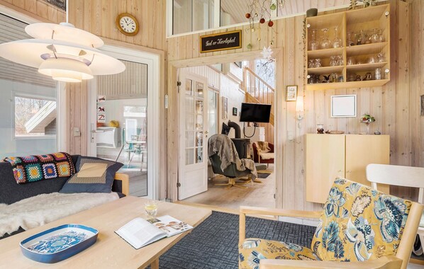 Télévision, cheminée, chaßne hi-fi