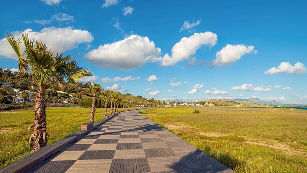 A pathway lined with palm trees leading to a grassy area with a clear blue sky. - Lovely home in Menfi with WiFi (Menfi)