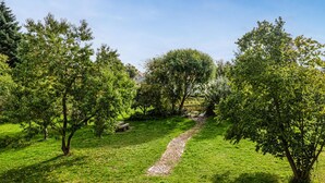 A pathway through a lush garden with trees and a stone path.