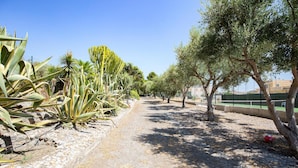Een pad bekleed met cactussen en olijfbomen, dat leidt naar een tennisbaan.