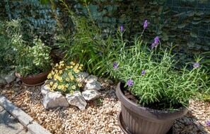 تفاصيل الفندق من الخارج