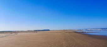 Maison acceptant les animaux Ă .