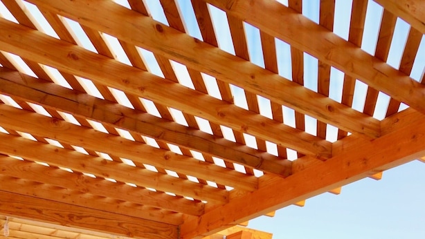 Una pérgola de madera con bancos, sillas, una mesa y una planta de cactus.