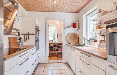 4 bedroom pet friendly home in Brande