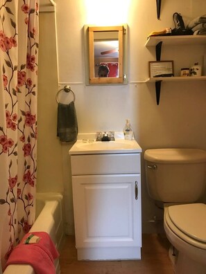 Ein kleines Badezimmer mit Toilette, einem Waschbecken mit Spiegel darüber und einer Duschkabine mit Blumenmuster.