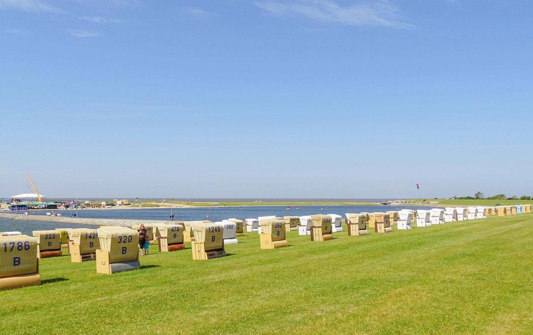 A grassy area with numbered hay bales in a row.