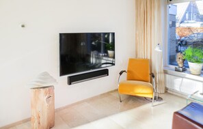 Fernseher, Kamin