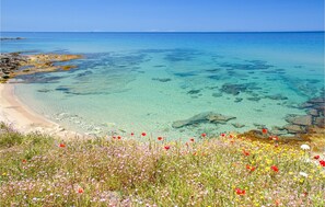 Una playa cerca