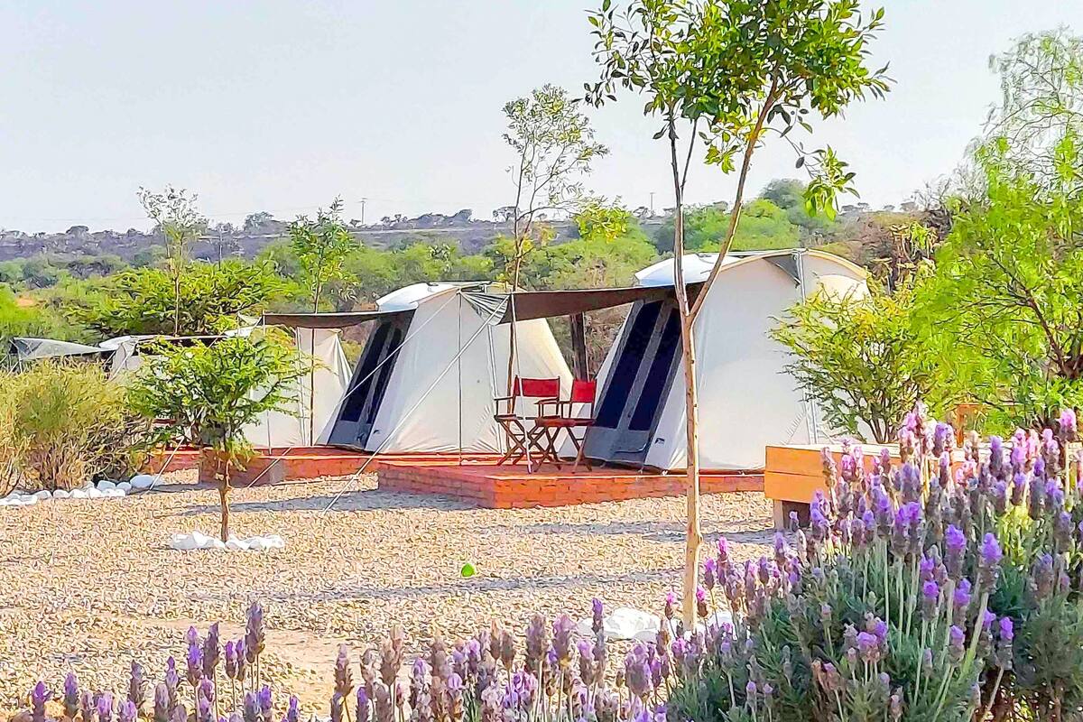 Ein Campingplatz mit zwei Zelten, eines davon mit einem roten Stuhl und Tisch, umgeben von Kies und violetten Blumen.
