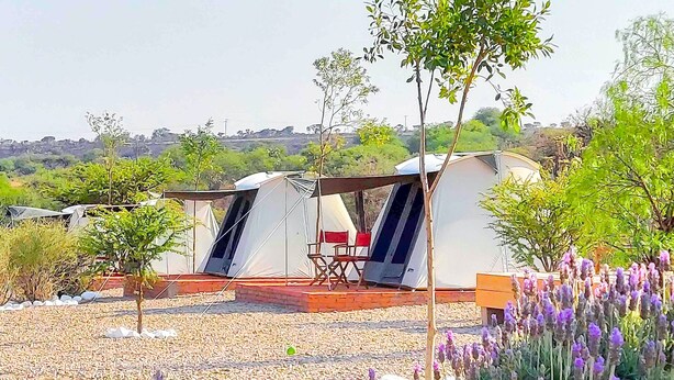 Um camping com duas barracas, uma delas com uma cadeira vermelha e uma mesa, cercado por cascalho e flores roxas.