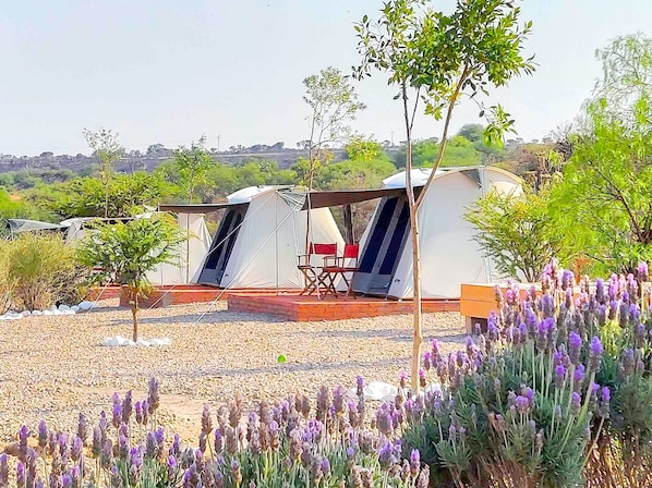 Triple Room | Hypo-allergenic bedding, bed sheets - ZenZontle GlampingSMA By Rotamundos (San Miguel de Allende)