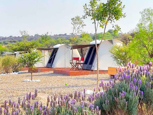 ZenZontle GlampingSMA By Rotamundos