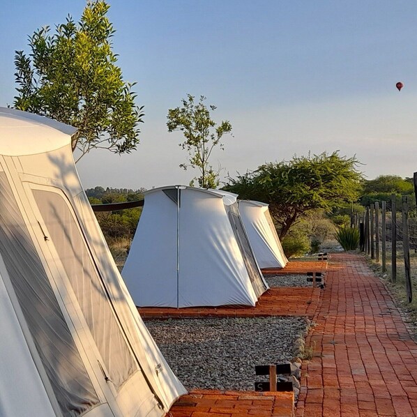 A row of white tents with a brick pathway leading to them, surrounded by greenery and a clear sky.