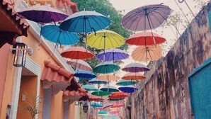 Une ruelle étroite où pendent des parapluies aux couleurs vives.
