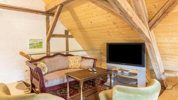 TV, video games, DVD player, table tennis