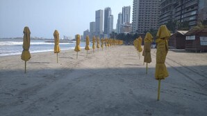 A beach with rows of yellow umbrellas and a city skyline in the background. - 2C19 Apartamento Cartagena frente al mar (Cartagena)