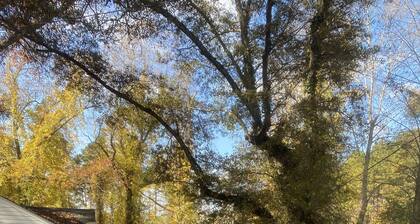 Urban Respite minutes from downtown Greenville, SC