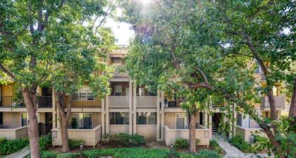Dreamy Santa Clara 2BR w/ Gym, Pool & W/D, walk to Safeway, by Blueground